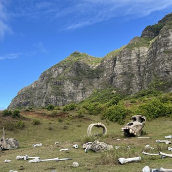 Kualoa Ranch - Boneyard - Tours Near Me - Kaneohe, Hawaii Kualoa Ranch - Boneyard - Tours Near Me - Kaneohe, Hawaii