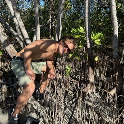 Another young mangrove tree, freshly planted.