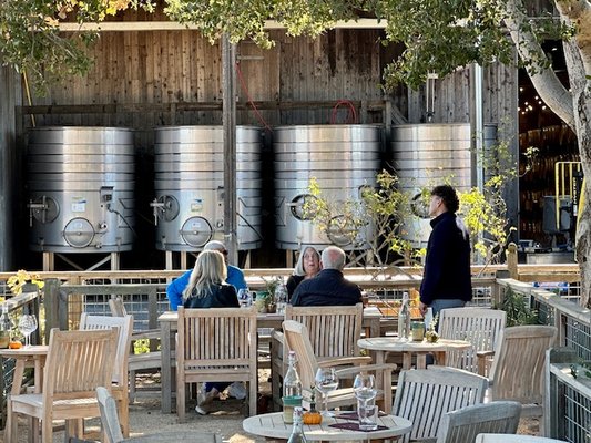 Wine Tours - Call today! Wine Tours - Call today!