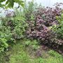 Saint-Fleur Lawn Care and Landscaping