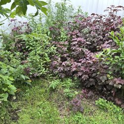 Saint-Fleur Lawn Care and Landscaping