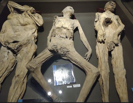 Museum of the Mummies of Guanajuato by null