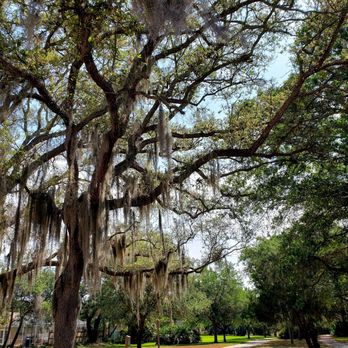 Ream Wilson Trail - Parks Near Me - Clearwater, Florida