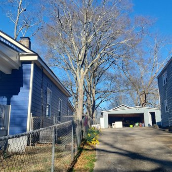 United Tree Pro Service - a row of houses in a residential neighborhood - Tree Services Near Me - Marietta, Georgia United Tree Pro Service - a row of houses in a residential neighborhood - Tree Services Near Me - Marietta, Georgia