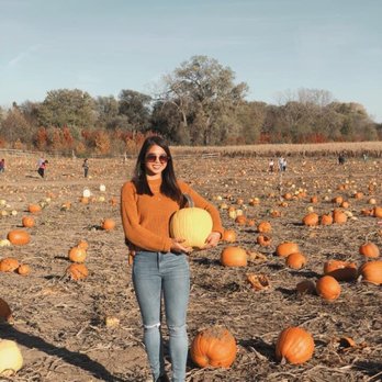 Vala's Pumpkin Patch - Love Valas in the fall - Venues & Event Spaces Near Me - Gretna, Nebraska