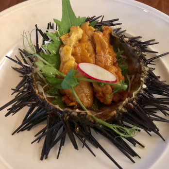 MF Sushi - Fresh Uni - Sushi Bars Near Me - Houston, Texas