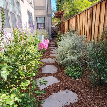 Ideal Landscape & Concrete - side yard after - Landscaping Near Me Ideal Landscape & Concrete - side yard after - Landscaping Near Me