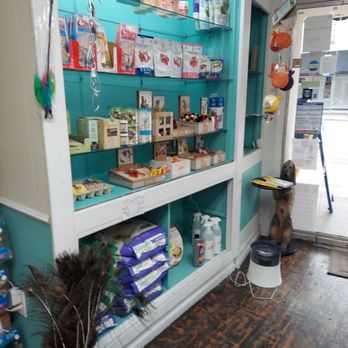 Gurrs & Purrs - Pet Groomers Near Me - DeLand, Florida