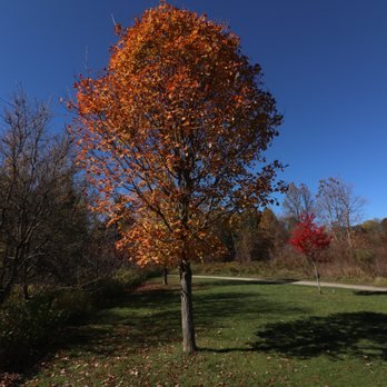 Bindertwine Park - Parks Near Me - Vaughan, Ontario Bindertwine Park - Parks Near Me - Vaughan, Ontario