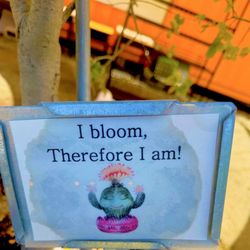 A version of French Philosopher: René Descartes' 'I Think Therefore I Am' or in french: "Cogito, ergo sum"