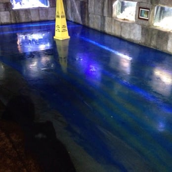 Austin Aquarium - Wet floor from the flood they had the night before - Aquariums Near Me - Austin, Texas