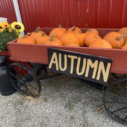 Gust Brother's Pumpkin Farm
