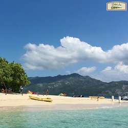 BelleVue Tours