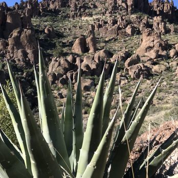 Peralta Trails - Hiking Near Me - Gold Canyon, Arizona Peralta Trails - Hiking Near Me - Gold Canyon, Arizona