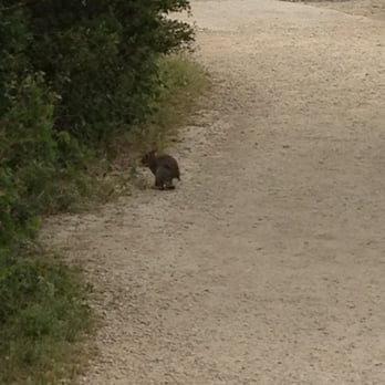 Comanche Lookout Park - Bunny - Parks Near Me - San Antonio, Texas