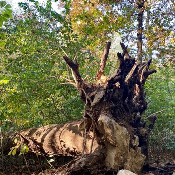 Maple Woods Natural Area - Parks Near Me - Gladstone, Missouri