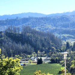 Adventist Health St. Helena - Beautiful view of the wine valley from the hospital entrance