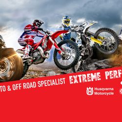 Quad Expert