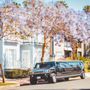 Photo of Relentless Limo