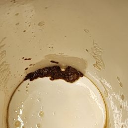 THIS was at the bottom of my cup, EWWWW!!!!!!! THIS was at the bottom of my cup, EWWWW!!!!!!!
