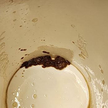 Panera Bread - THIS was at the bottom of my cup, EWWWW!!!!!!! - Salad Near Me - Wyoming, Michigan Panera Bread - THIS was at the bottom of my cup, EWWWW!!!!!!! - Salad Near Me - Wyoming, Michigan