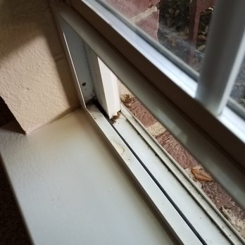 Securimax - Sensors inspected and configured for windows and doors - Security Systems Near Me - Hutto, Texas