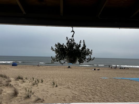 The Beach Hut on Main by null