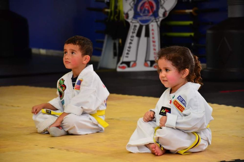 Urrutia's Taekwondo Academy Logo