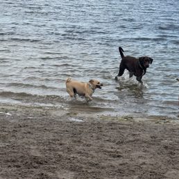 Lake Baldwin, dog Park Lake Baldwin, dog Park