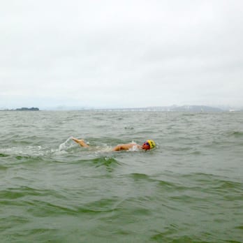 Odyssey Open Water Swimming - Swimming Lessons/Schools Near Me - Berkeley, California Odyssey Open Water Swimming - Swimming Lessons/Schools Near Me - Berkeley, California