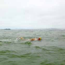 Odyssey Open Water Swimming