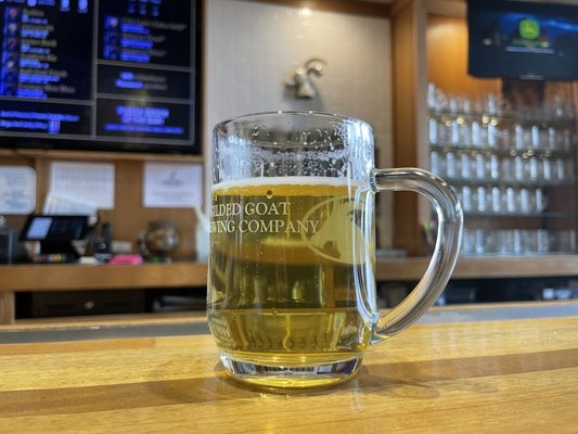 Gilded Goat Brewing Company by null