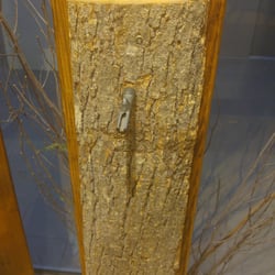 Les Délices de l'Érable - Part of a maple tree with a spout. Its in the Maple Museum downstairs!
