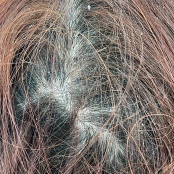 Vera Hair - Of course me thinking I had the greatest hair washed I was wrong - Hair Stylists Near Me - Newport Beach, California Vera Hair - Of course me thinking I had the greatest hair washed I was wrong - Hair Stylists Near Me - Newport Beach, California