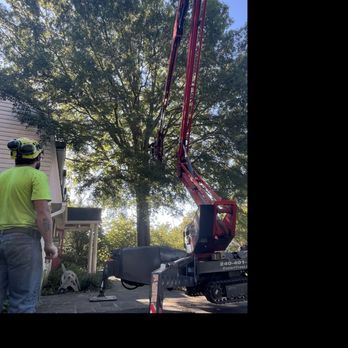 Expert Tree - Huge Oak over house - A worker in a yellow shirt and helmet stands near a small tracked crane with an extended arm, positioned next to a large tree. - Tree Services Near Me - Ashton, Maryland