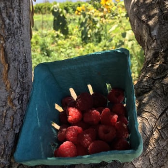 Summerset Farm - Excellent place to take kids to and get some yummy organic berries (if in season) - Farmers Market Near Me - Santa Ynez, California Summerset Farm - Excellent place to take kids to and get some yummy organic berries (if in season) - Farmers Market Near Me - Santa Ynez, California