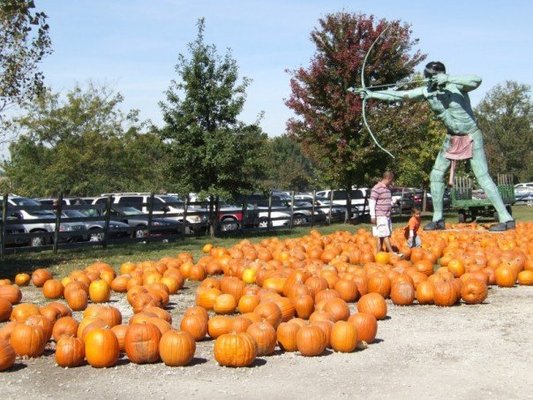 Curtis Orchard & Pumpkin Patch by null
