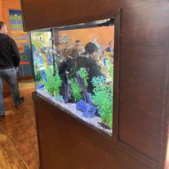 Dog Lane Cafe - Fish tank - Breakfast & Brunch Near Me - Storrs, Connecticut