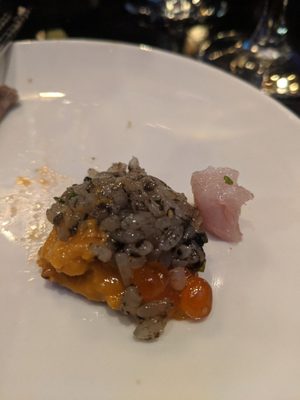 Purple Shell Boston by null