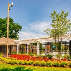 North Shore Gardens Apartments - Stroll through North Shore and see what's in bloom!