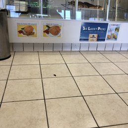 Display area (dark spot is a bug) Display area (dark spot is a bug)