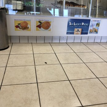 Donuts Express - Display area (dark spot is a bug) - Donuts Near Me - Anaheim, California Donuts Express - Display area (dark spot is a bug) - Donuts Near Me - Anaheim, California