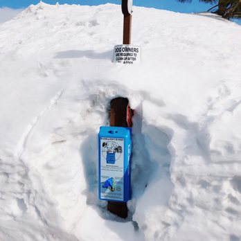 Doggie Walk Bags - Classic Dog Waste Bag Dispenser for any weather - Pets Near Me - Costa Mesa, California Doggie Walk Bags - Classic Dog Waste Bag Dispenser for any weather - Pets Near Me - Costa Mesa, California