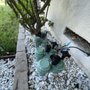 Araujo’s Landscaping