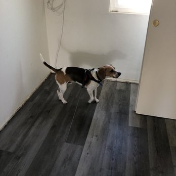 Divinity Flooring Services - Flooring Near Me