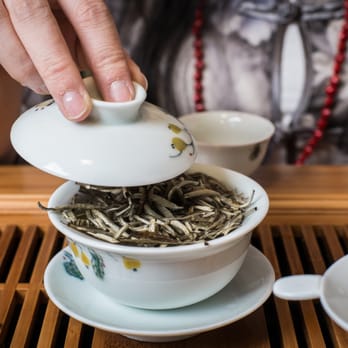 Tea Dynasty - a person pouring tea into a cup - Tea Rooms Near Me - Eastpointe, Michigan Tea Dynasty - a person pouring tea into a cup - Tea Rooms Near Me - Eastpointe, Michigan