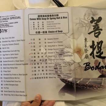 Bodhi Village - Vegetarian Near Me - Flushing, New York Bodhi Village - Vegetarian Near Me - Flushing, New York