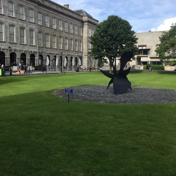 Trinity College Dublin - Colleges & Universities Near Me - Dublin, D Trinity College Dublin - Colleges & Universities Near Me - Dublin, D