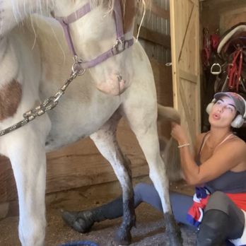 Horseplay Ranch - Ms. H showing Rocky people don't have to be scary! - Horse Boarding Near Me - Hamel, Minnesota Horseplay Ranch - Ms. H showing Rocky people don't have to be scary! - Horse Boarding Near Me - Hamel, Minnesota