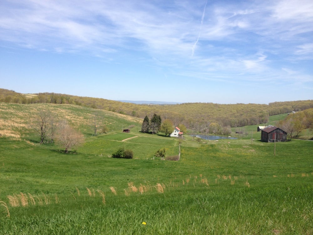 HELIXVILLE WINERY Updated September 2024 New Paris, Pennsylvania